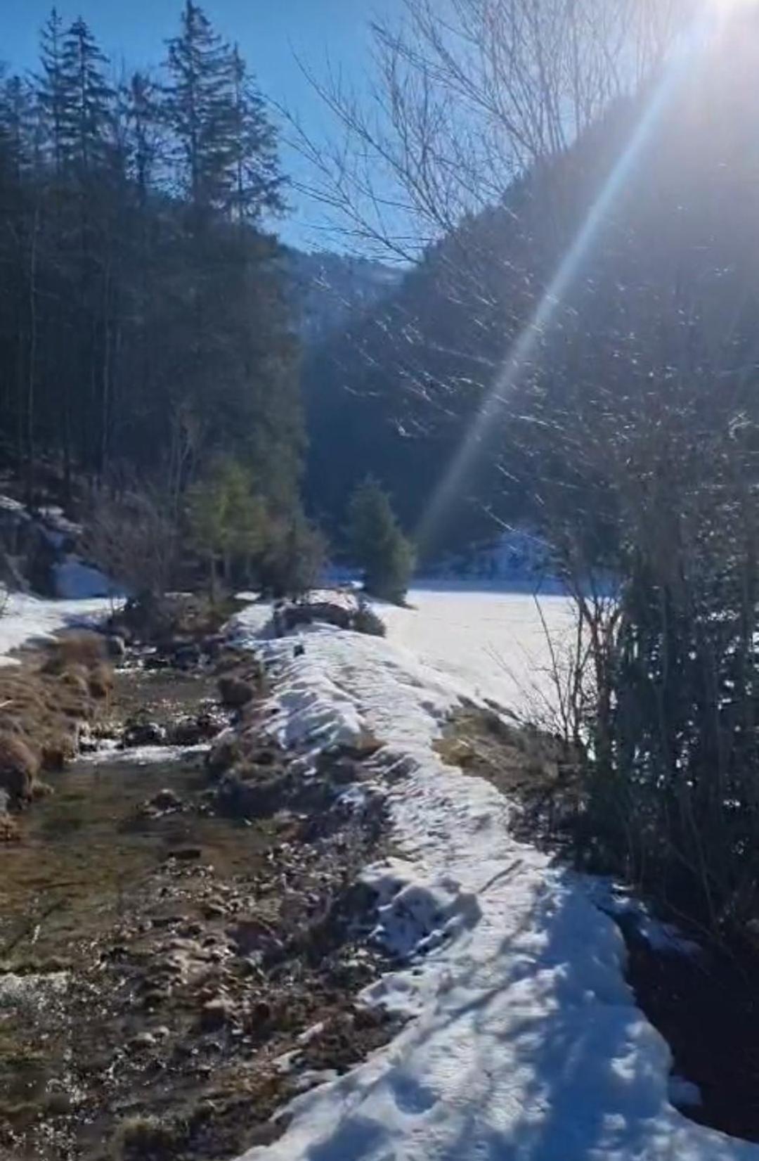 Bio Bauernhof Geisl Διαμέρισμα Sankt Ulrich am Pillersee Εξωτερικό φωτογραφία
