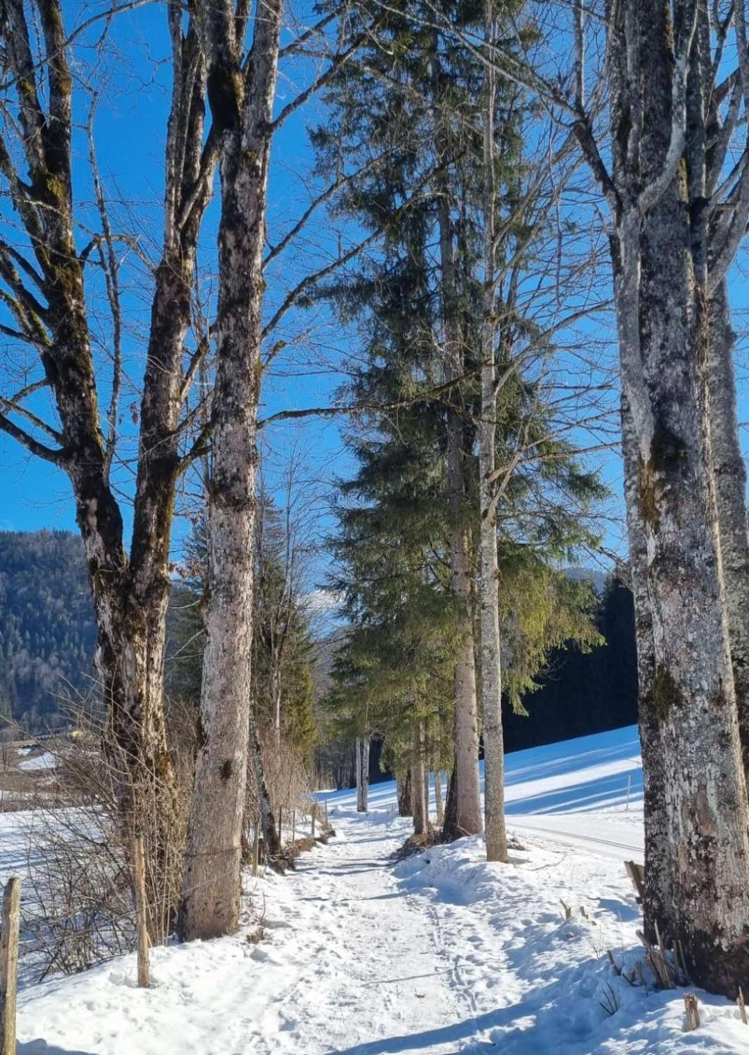 Bio Bauernhof Geisl Διαμέρισμα Sankt Ulrich am Pillersee Εξωτερικό φωτογραφία